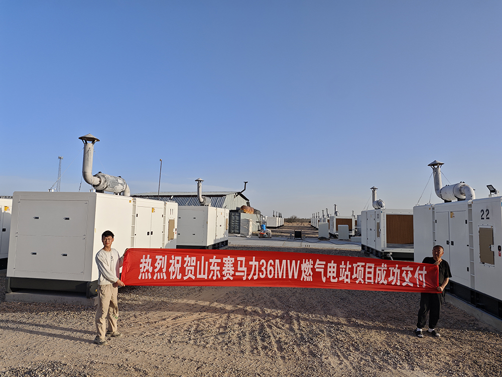 赛马力美国36MW燃气电站项目成功交付
